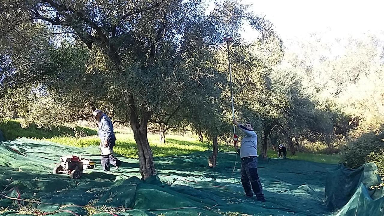 Eleas Gi Villa Vitaládes Dış mekan fotoğraf