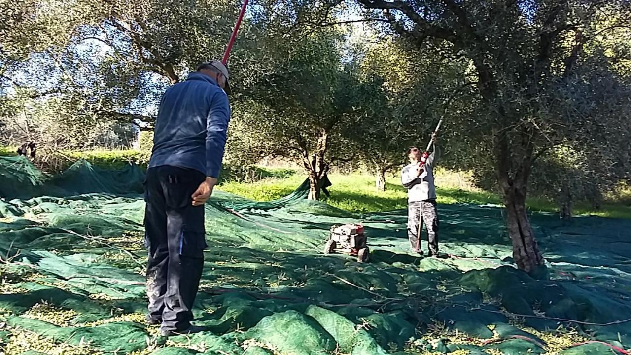 Eleas Gi Villa Vitaládes Dış mekan fotoğraf